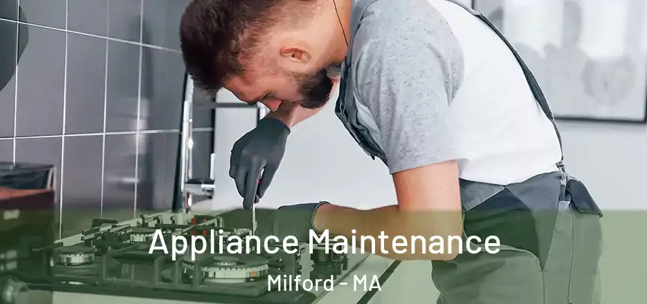 Appliance Maintenance Milford - MA