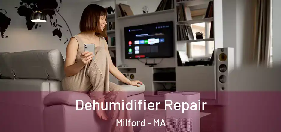  Dehumidifier Repair Milford - MA