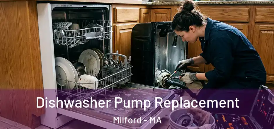  Dishwasher Pump Replacement Milford - MA