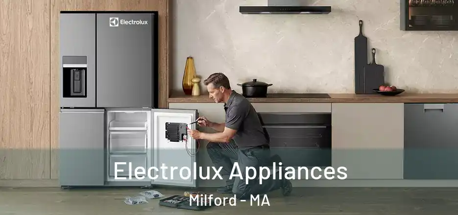 Electrolux Appliances Milford - MA