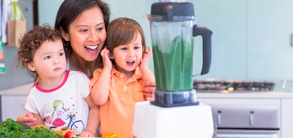 Juicer and Mixer Blender Repair in Milford 