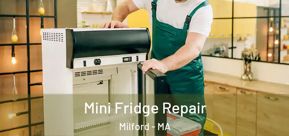  Mini Fridge Repair Milford - MA