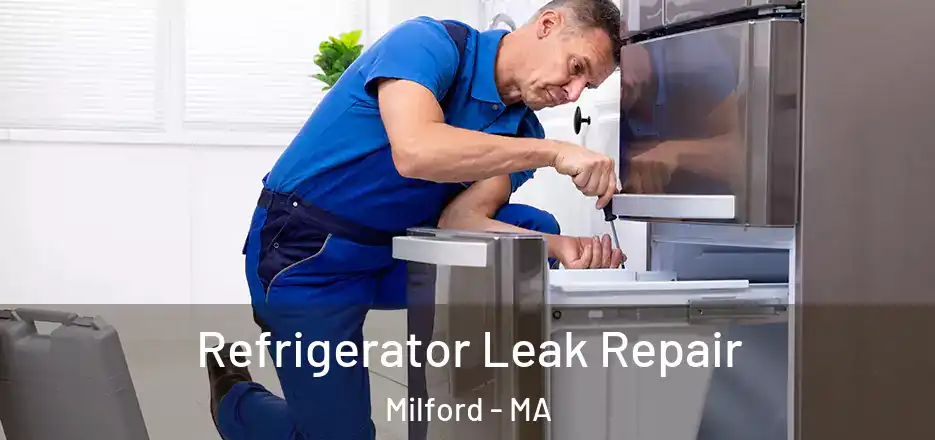  Refrigerator Leak Repair Milford - MA