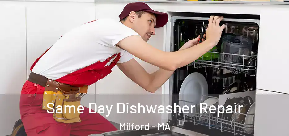  Same Day Dishwasher Repair Milford - MA