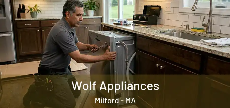  Wolf Appliances Milford - MA